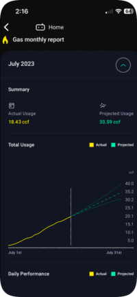 Mid-cycle report (1)